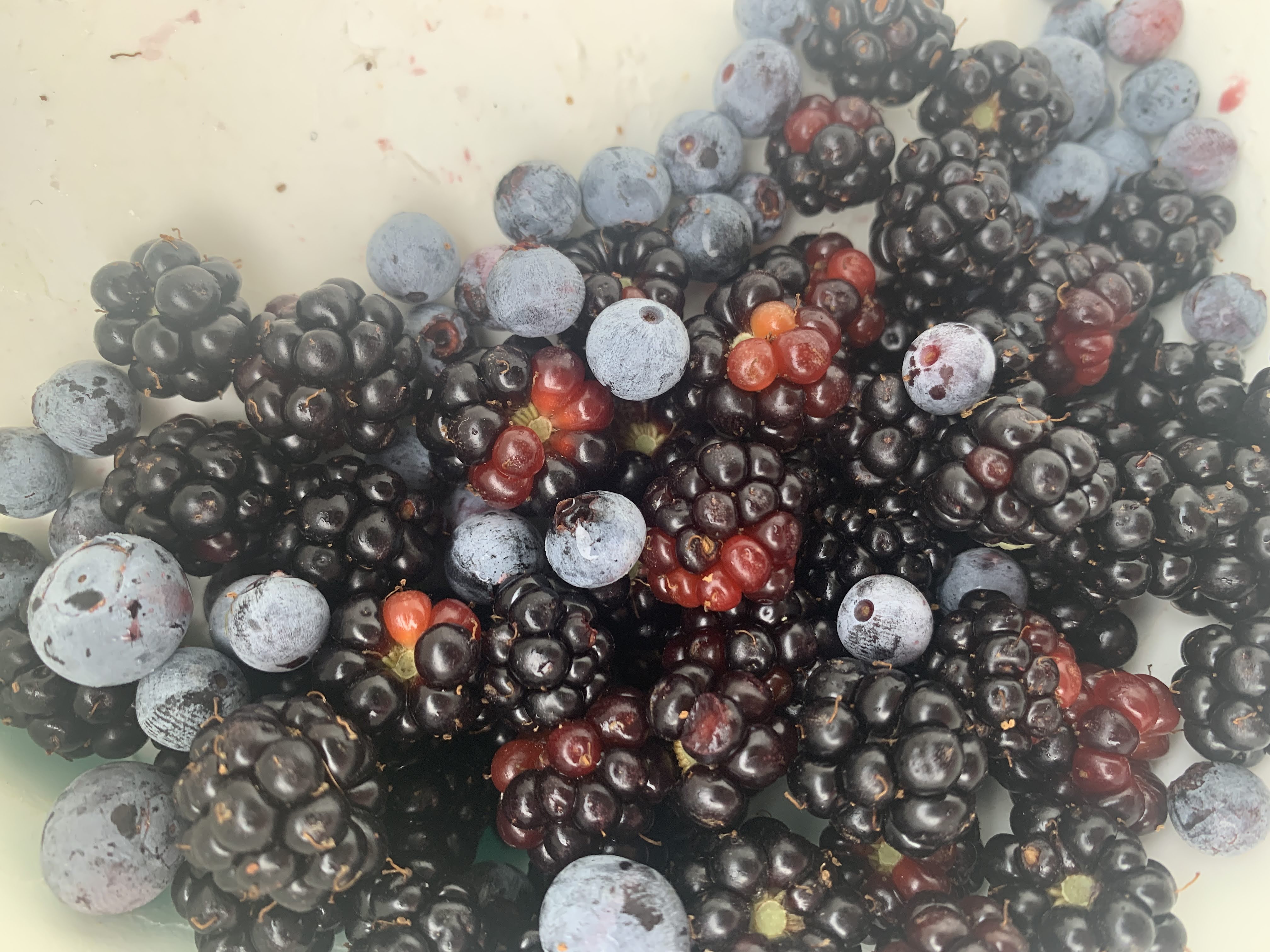 Harvest 2022